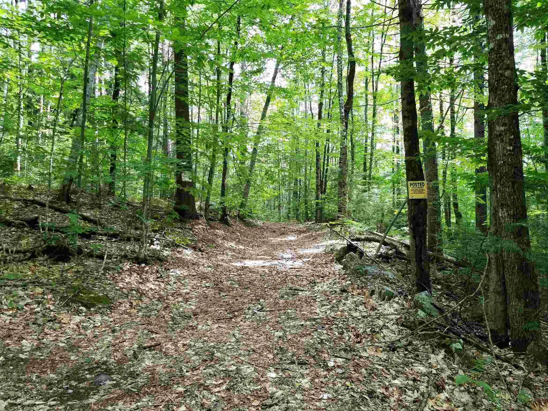 902 South County Road Groton VT 05046