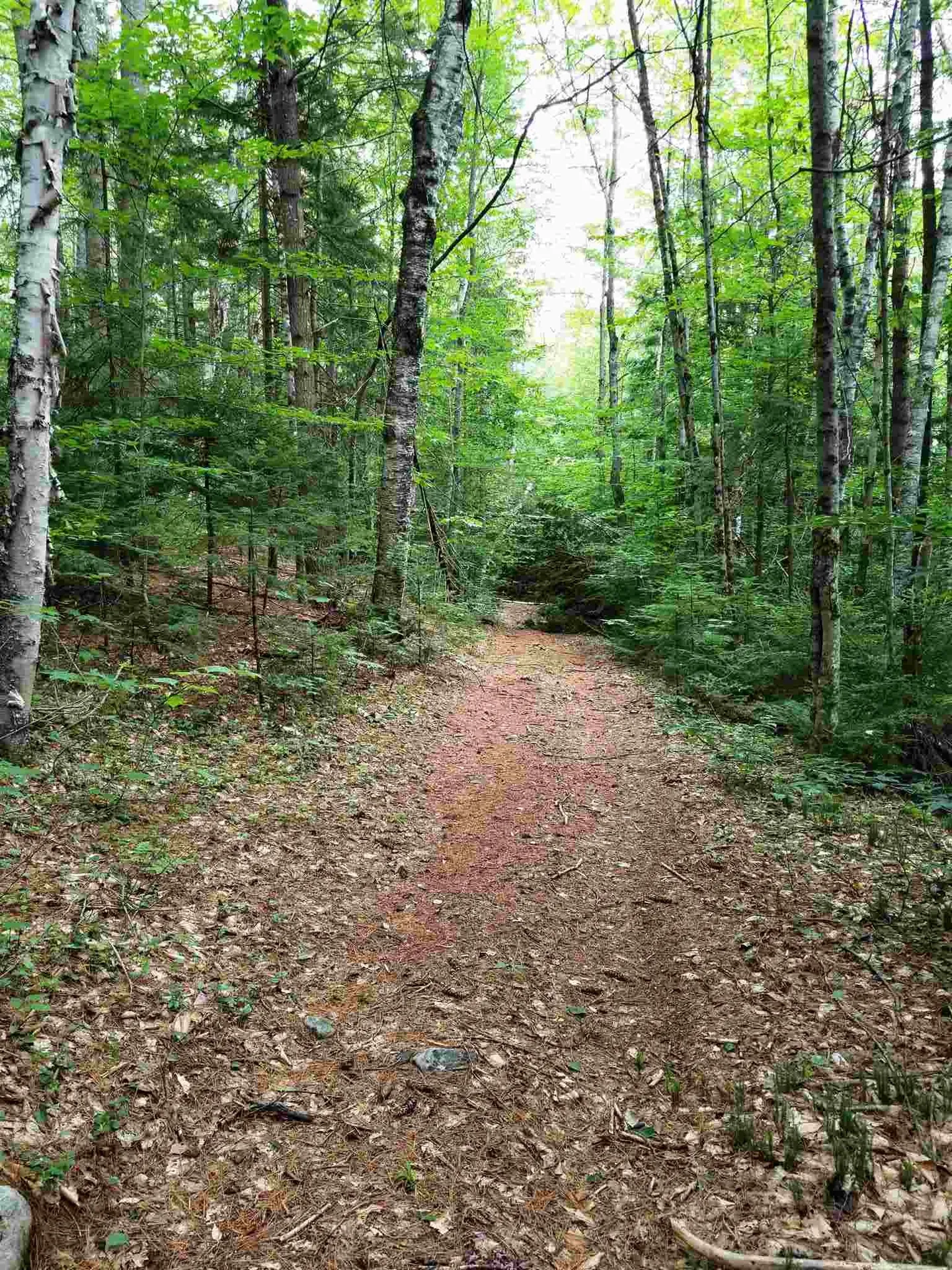 902 South County Road Groton VT 05046