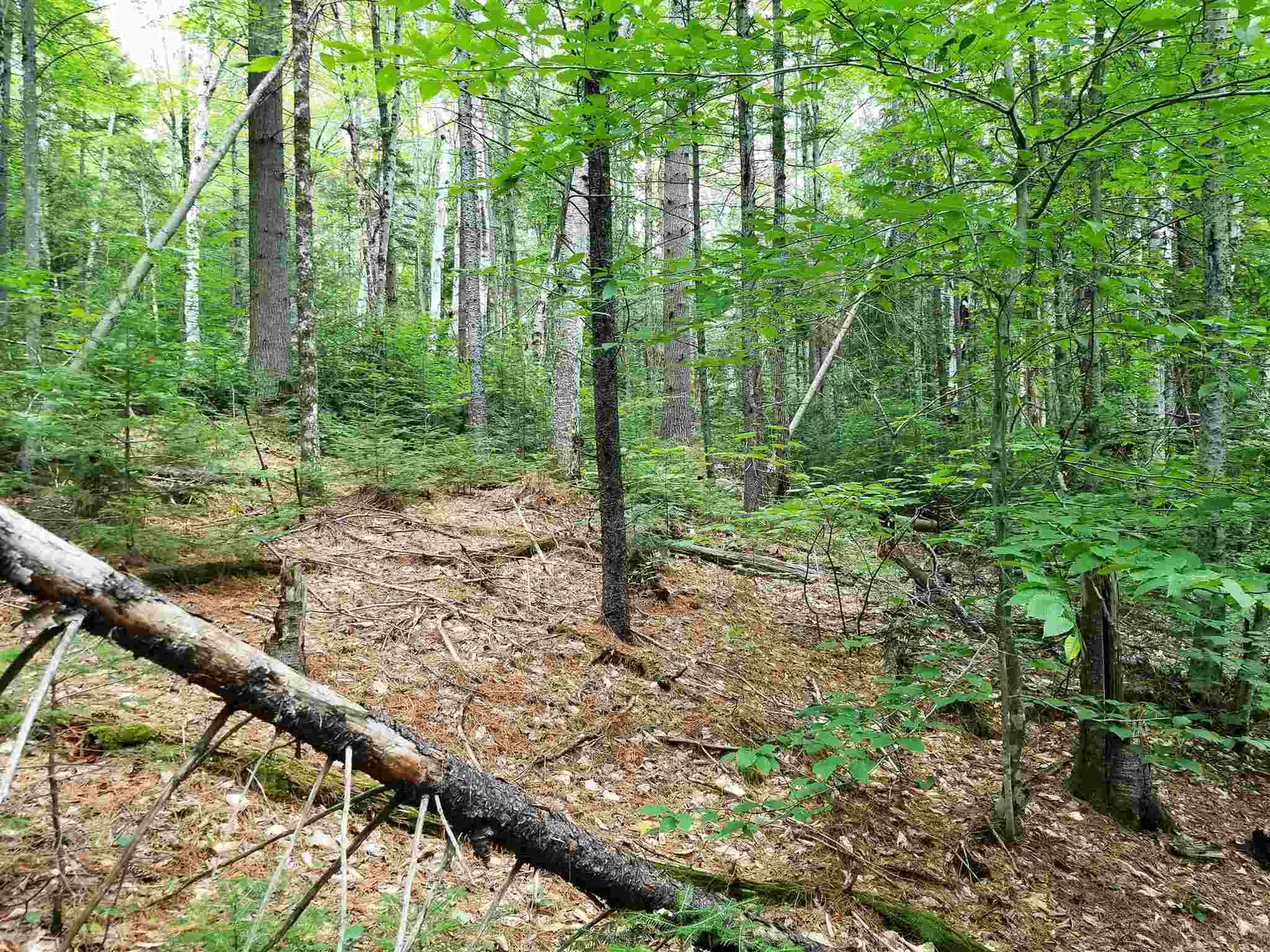 902 South County Road Groton VT 05046