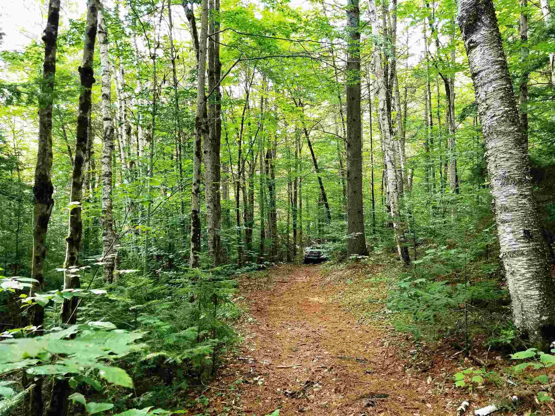 902 South County Road Groton VT 05046