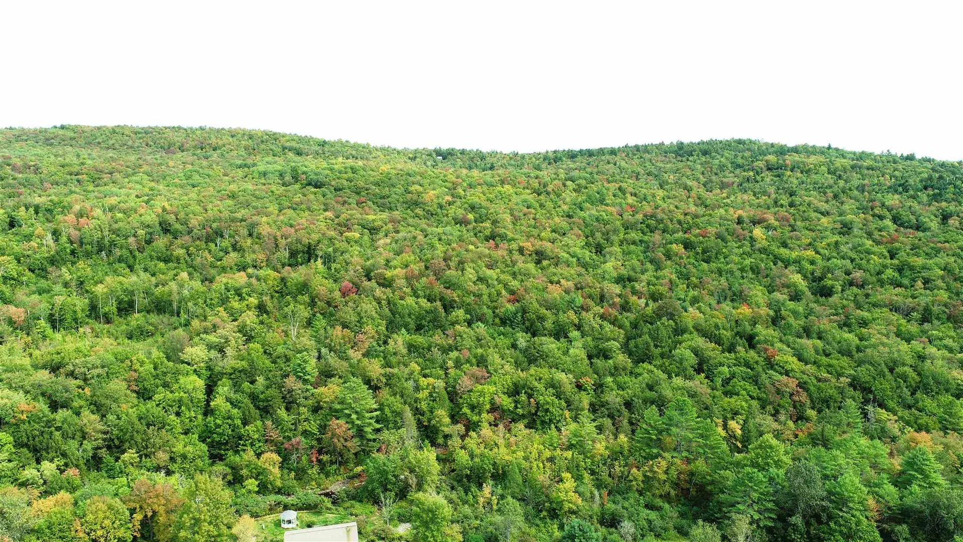 902 South County Road Groton VT 05046
