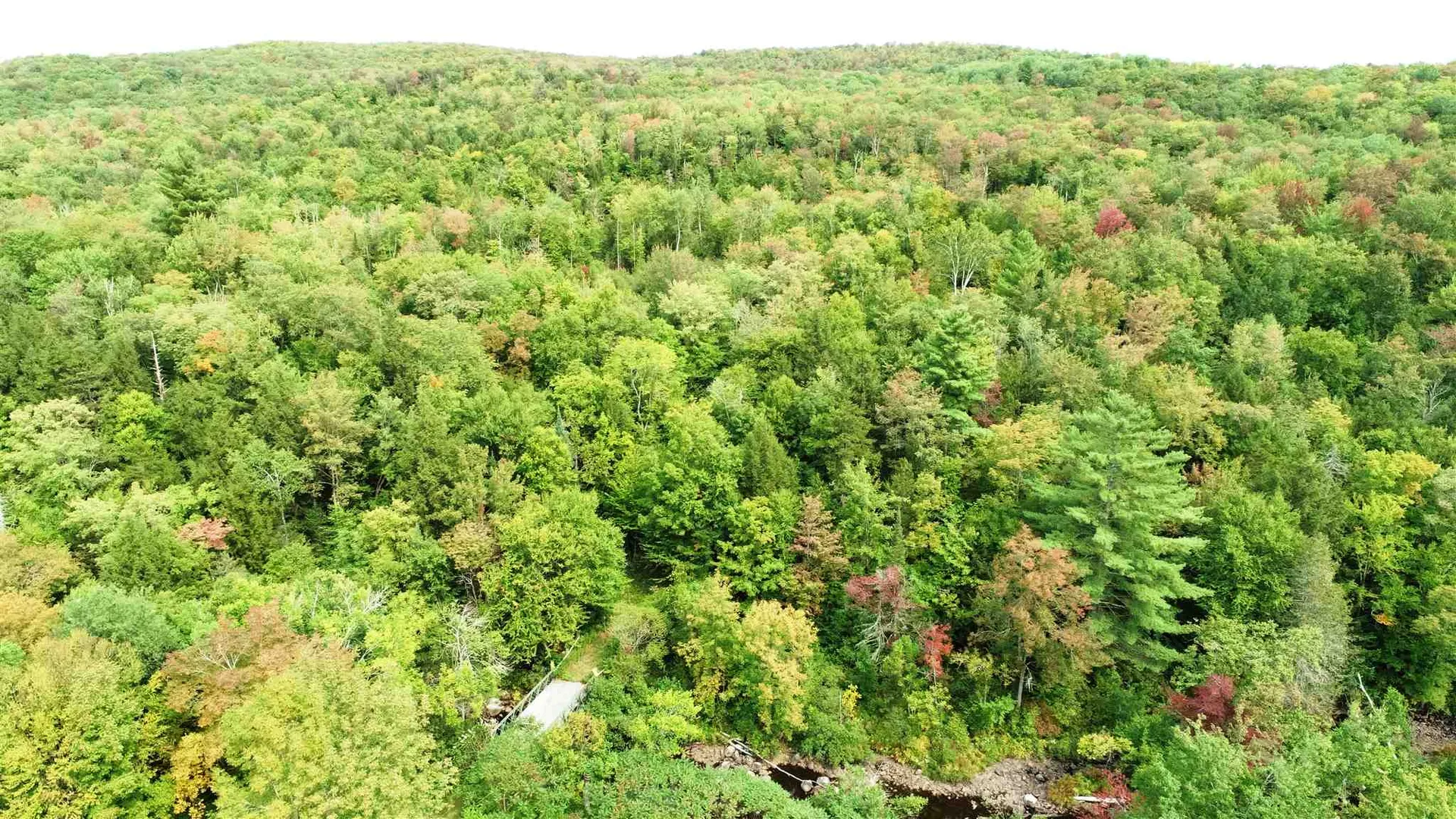 902 South County Road Groton VT 05046