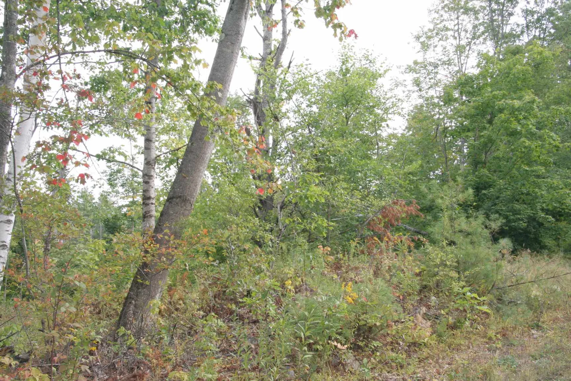6 Hurlbut Hill Lane Waterford VT 05819