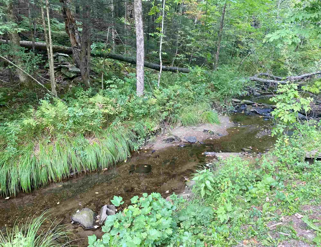 1101 Cavendish Road Chester VT 05143