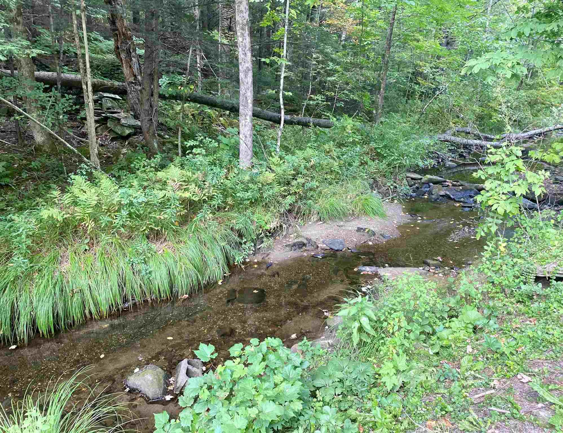 1101 Cavendish Road Chester VT 05143