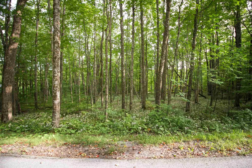 545 Powderhorn Road Manchester VT 05255