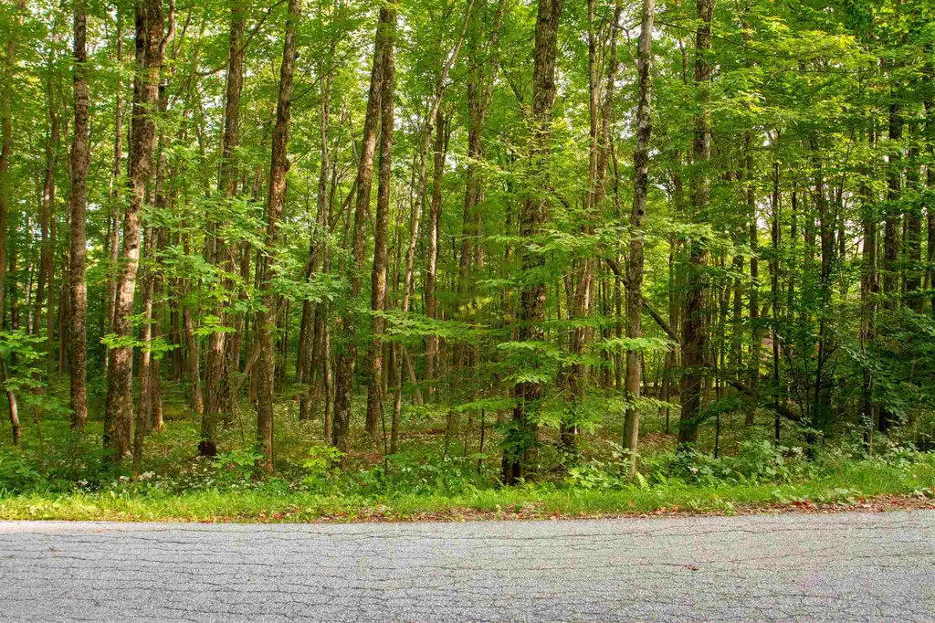 545 Powderhorn Road Manchester VT 05255