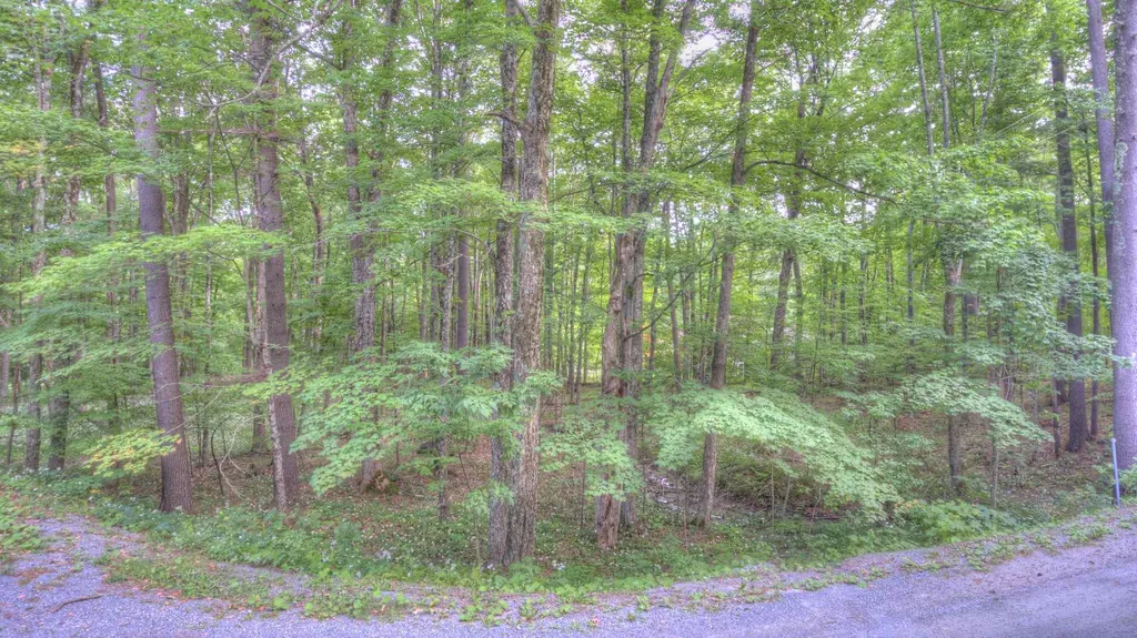 545 Powderhorn Road Manchester VT 05255