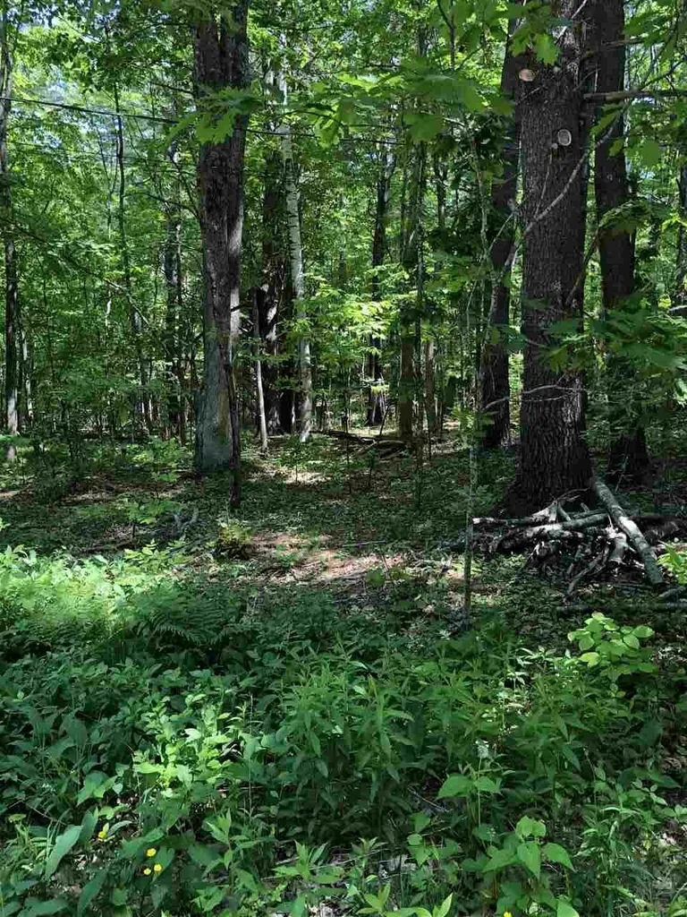 12 Mathes Cove Road Durham NH 03824