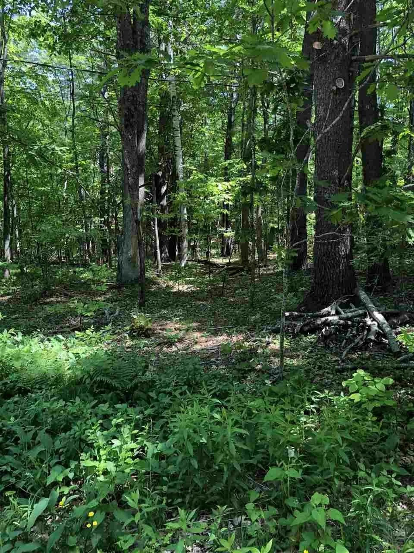 12 Mathes Cove Road Durham NH 03824