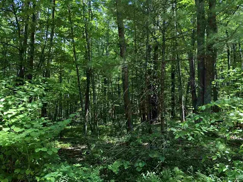 12 Mathes Cove Road Durham NH 03824