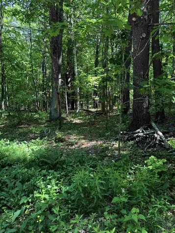 12 Mathes Cove Road Durham NH 03824