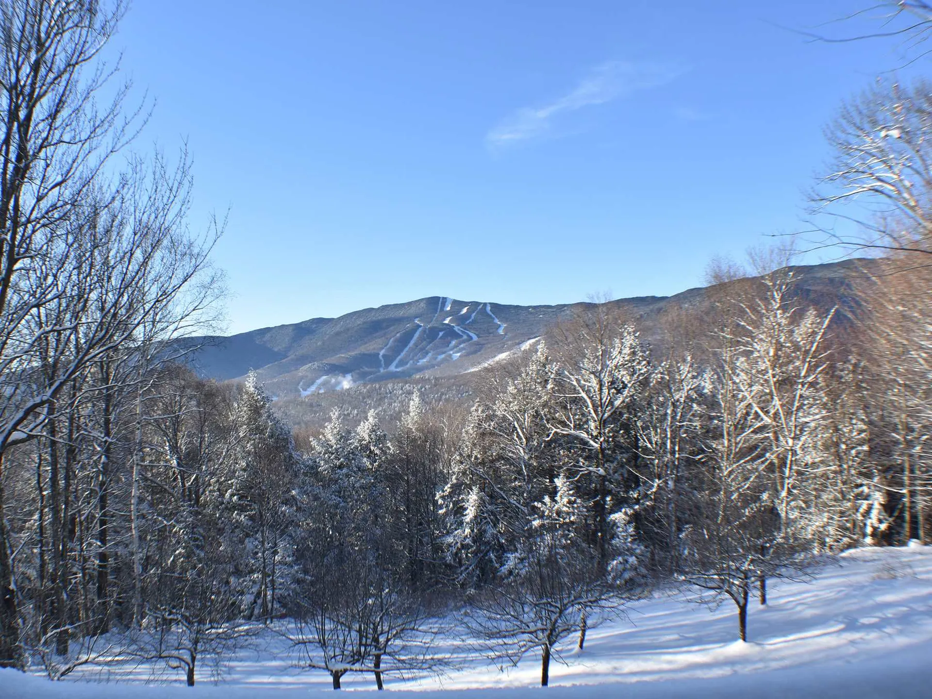 831 Phen Basin Road Fayston VT 05673