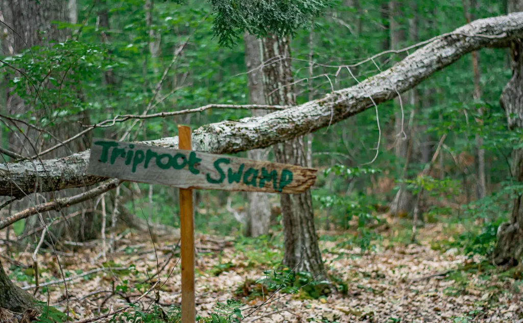 18 Welch Road Canterbury NH 03224