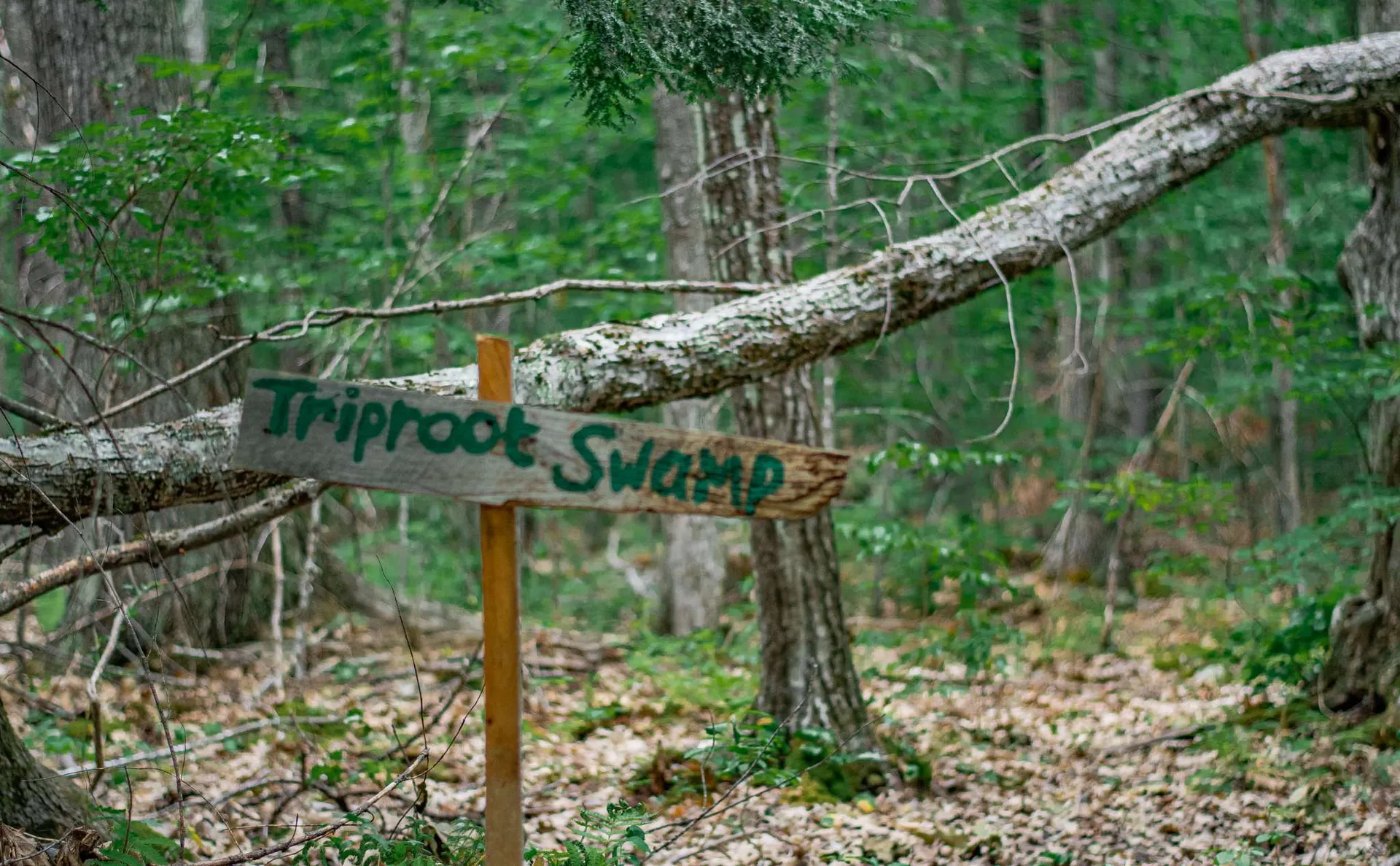 18 Welch Road Canterbury NH 03224