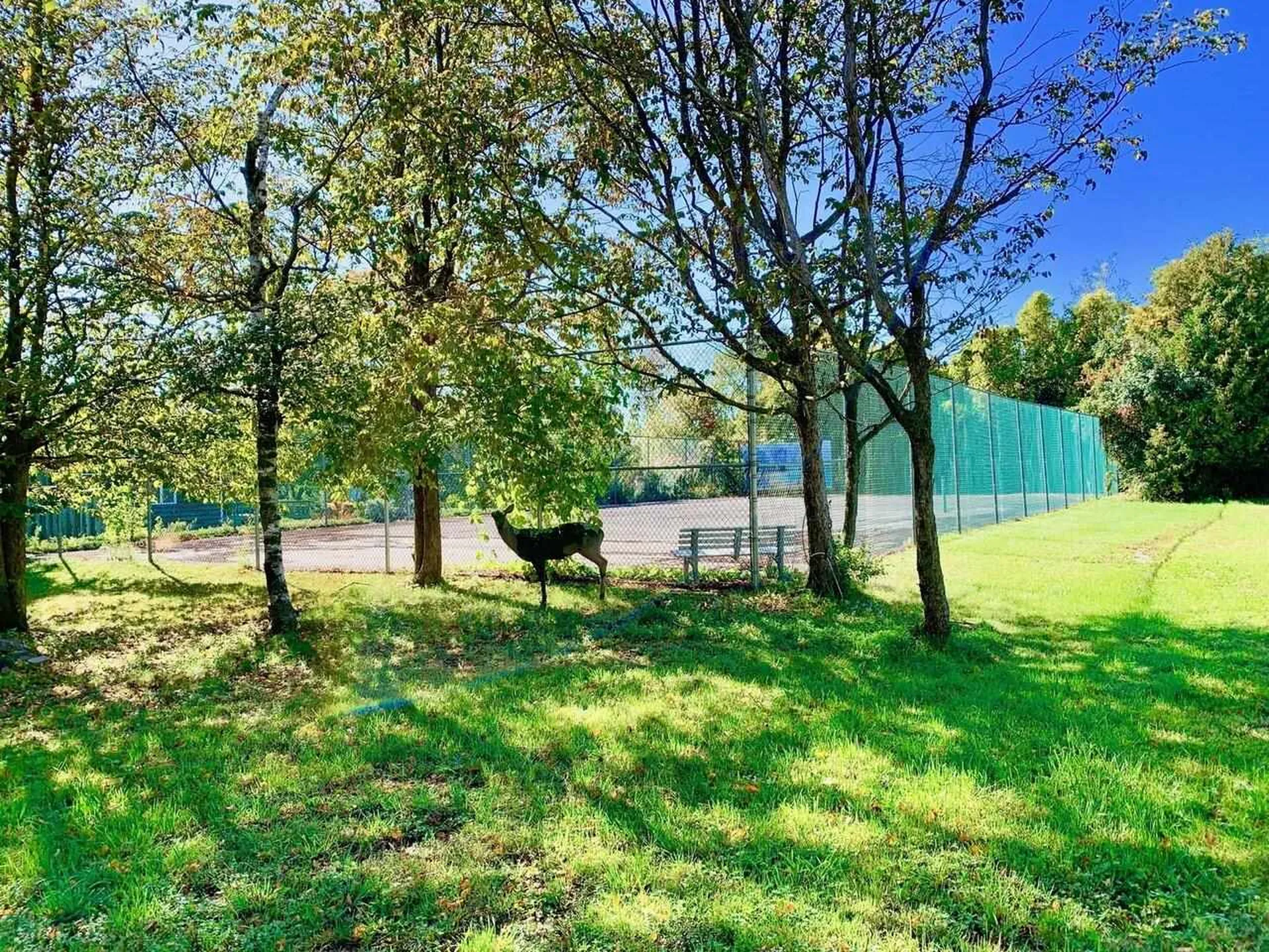 93 Sugar Maple Drive Swanton VT 05488