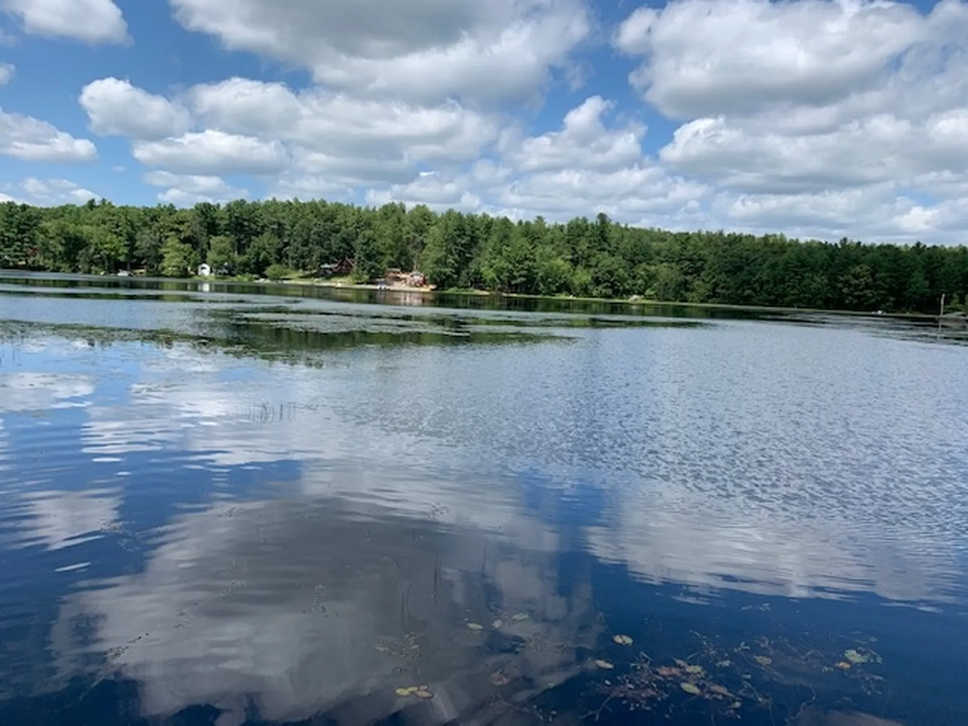 27/2 Gumpus Pond Forest Pelham NH 03076