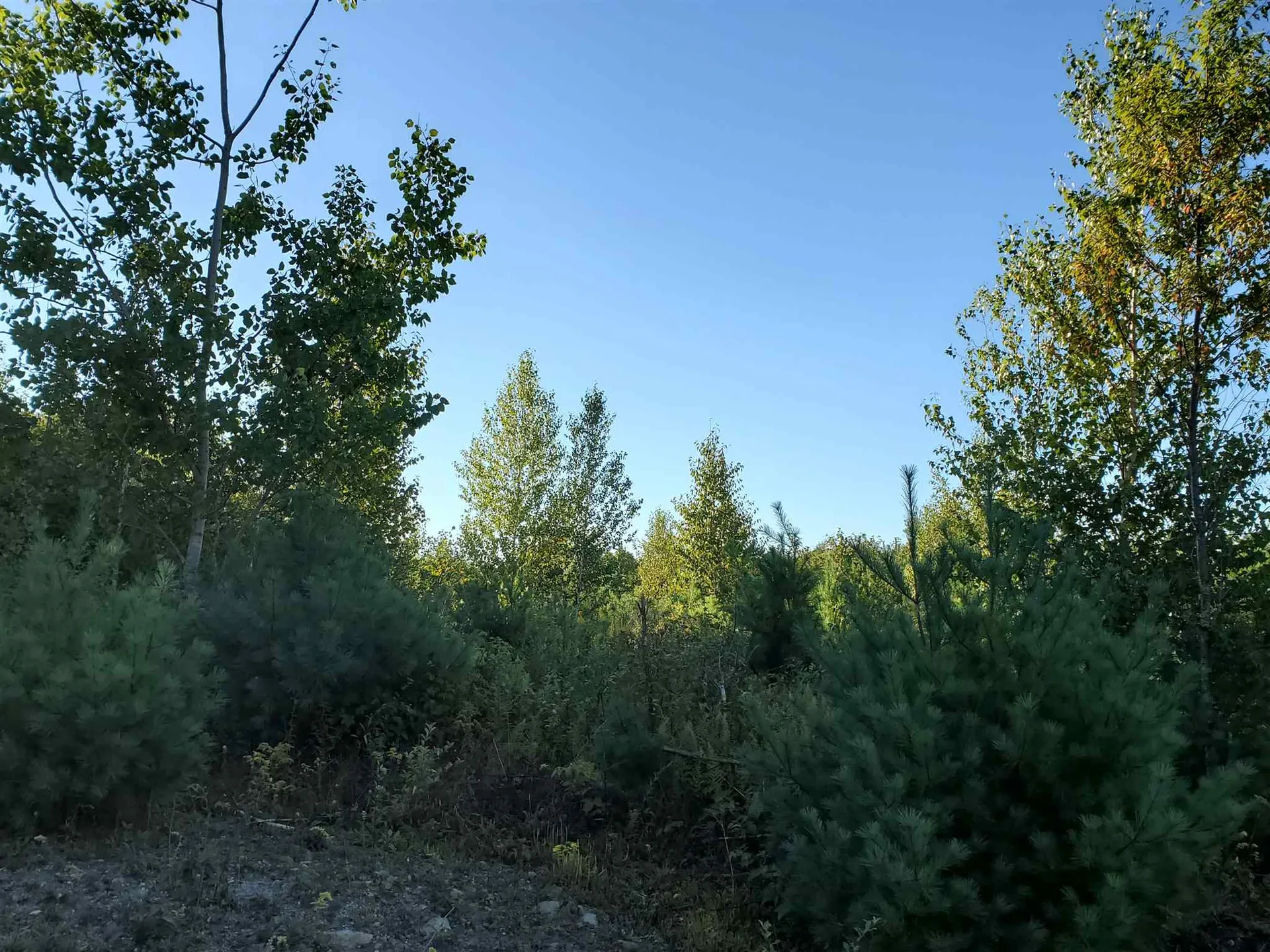 Lot 8 Strawbrook Lane Canaan NH 03741