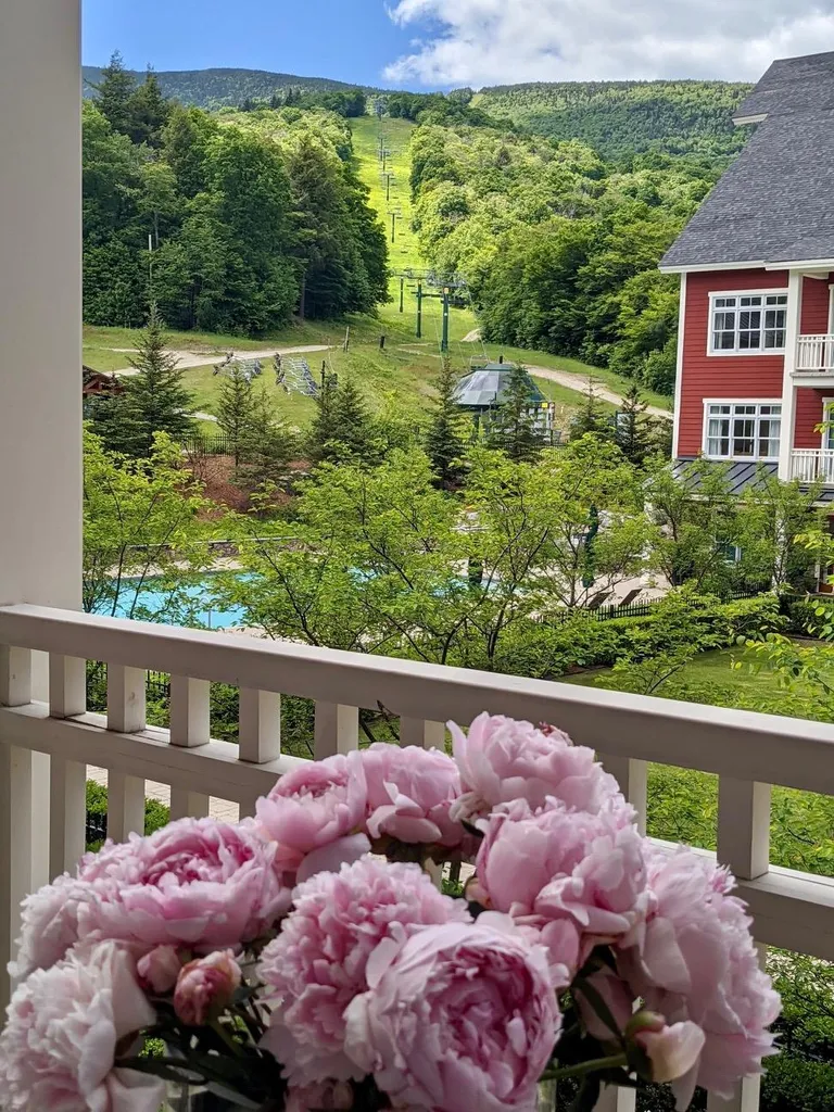 102 Forest 207 / Ii Drive Warren VT 05674