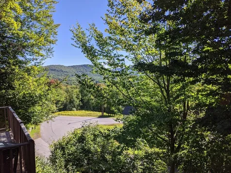 43 North Lynx Road Warren VT 05674