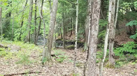 664 Old Shaker Road Loudon NH 03307
