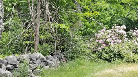 664 Old Shaker Road Loudon NH 03307