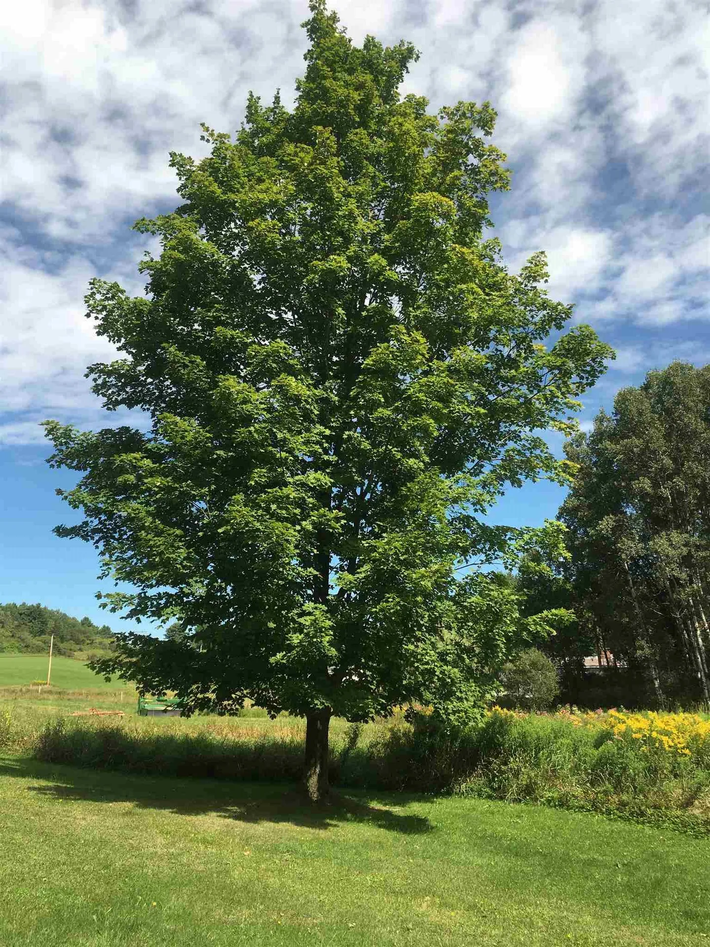 339 Middle Road Milton VT 05468