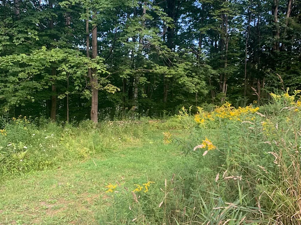 139 Post Office Road Waitsfield VT 05673