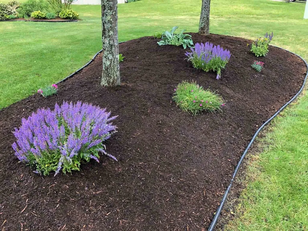 91 Field Green Drive Colchester VT 05446