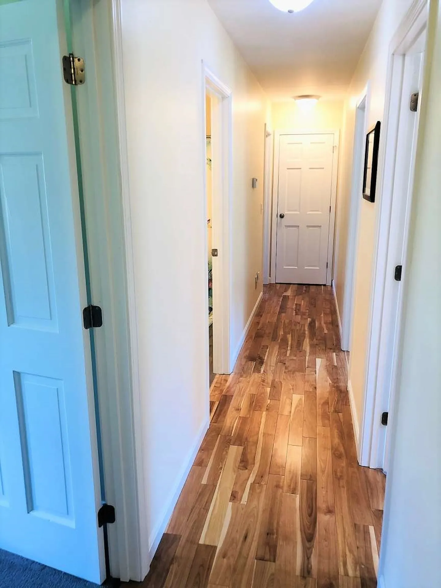 91 Field Green Drive Colchester VT 05446