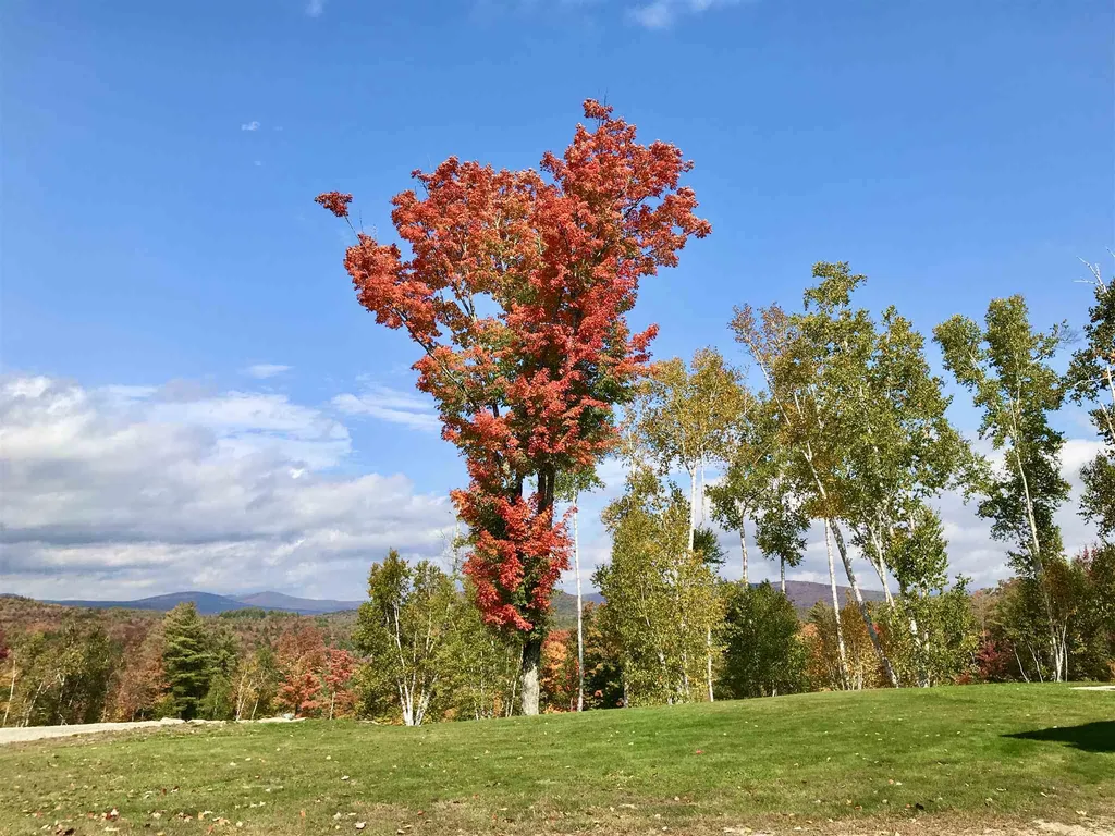 360 Bentley Drive Londonderry VT 05148