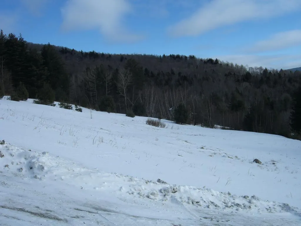 20 Morningstar Drive Warren VT 05674