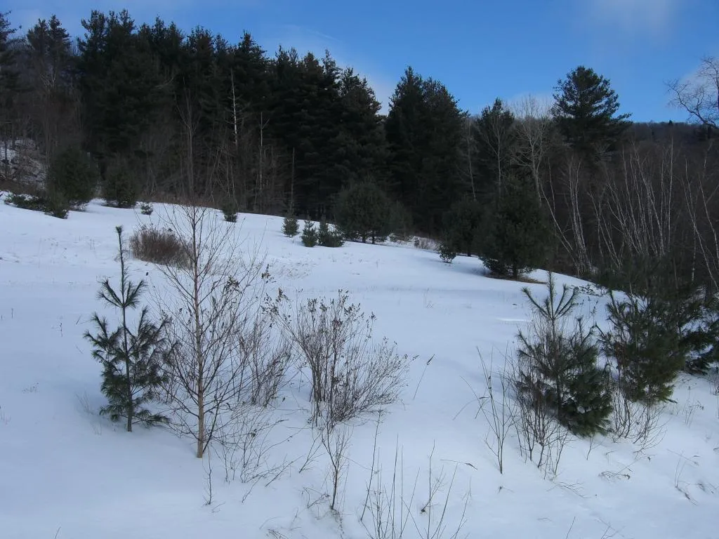 20 Morningstar Drive Warren VT 05674