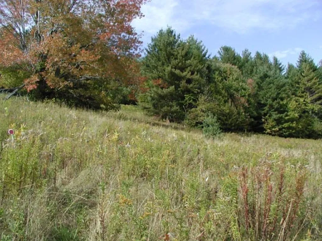 20 Morningstar Drive Warren VT 05674