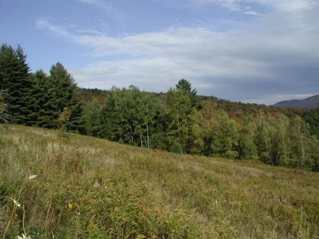 20 Morningstar Drive Warren VT 05674