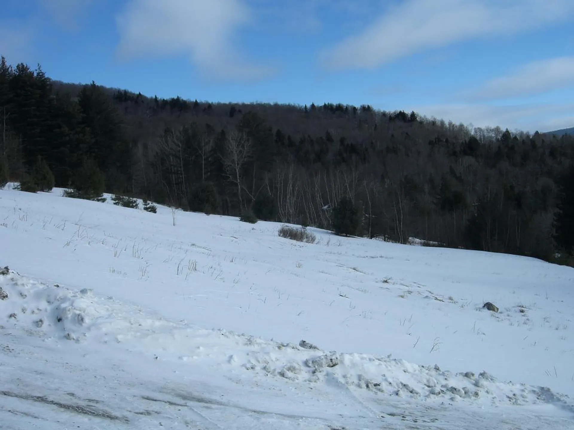20 Morningstar Drive Warren VT 05674