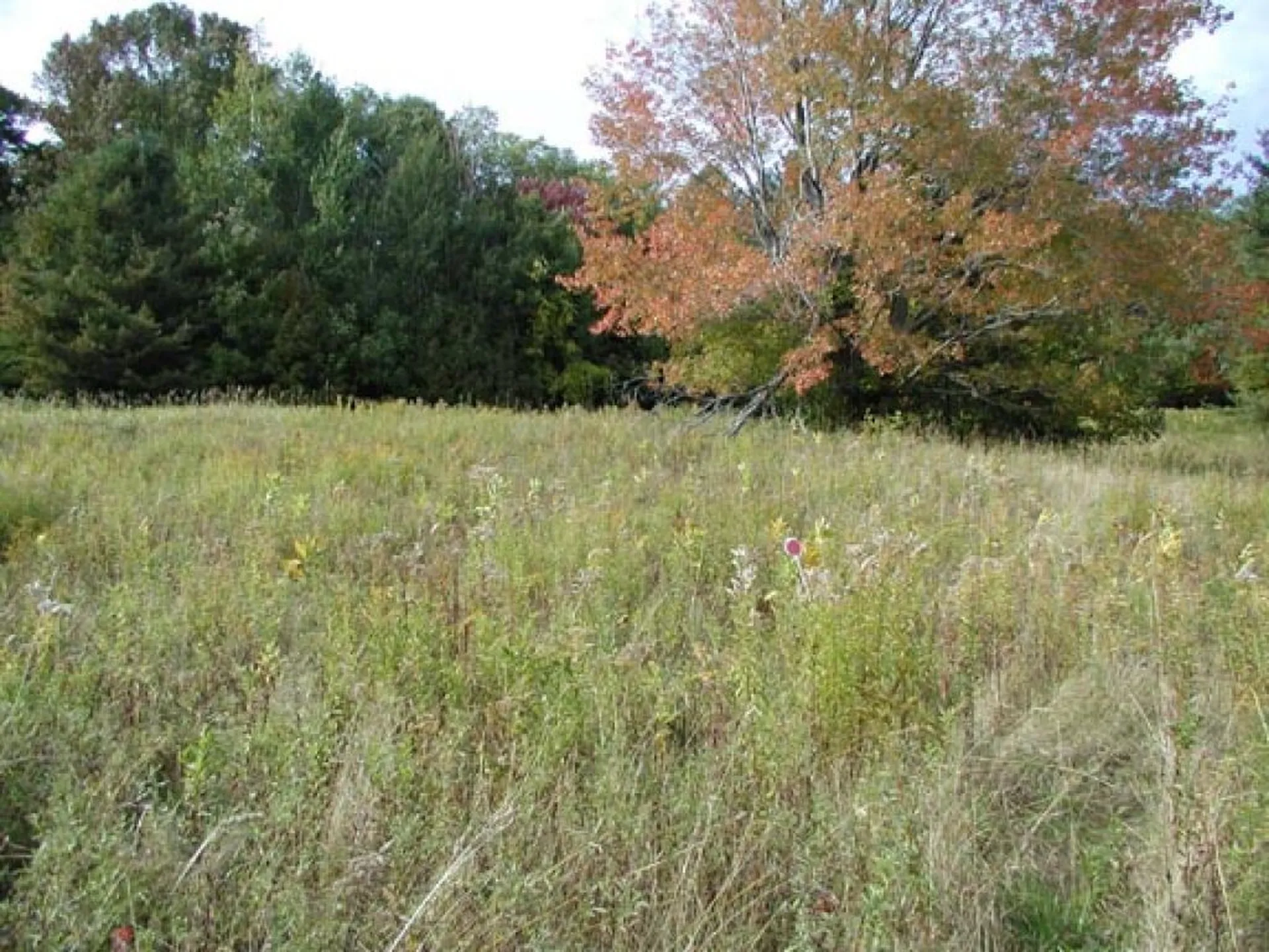20 Morningstar Drive Warren VT 05674
