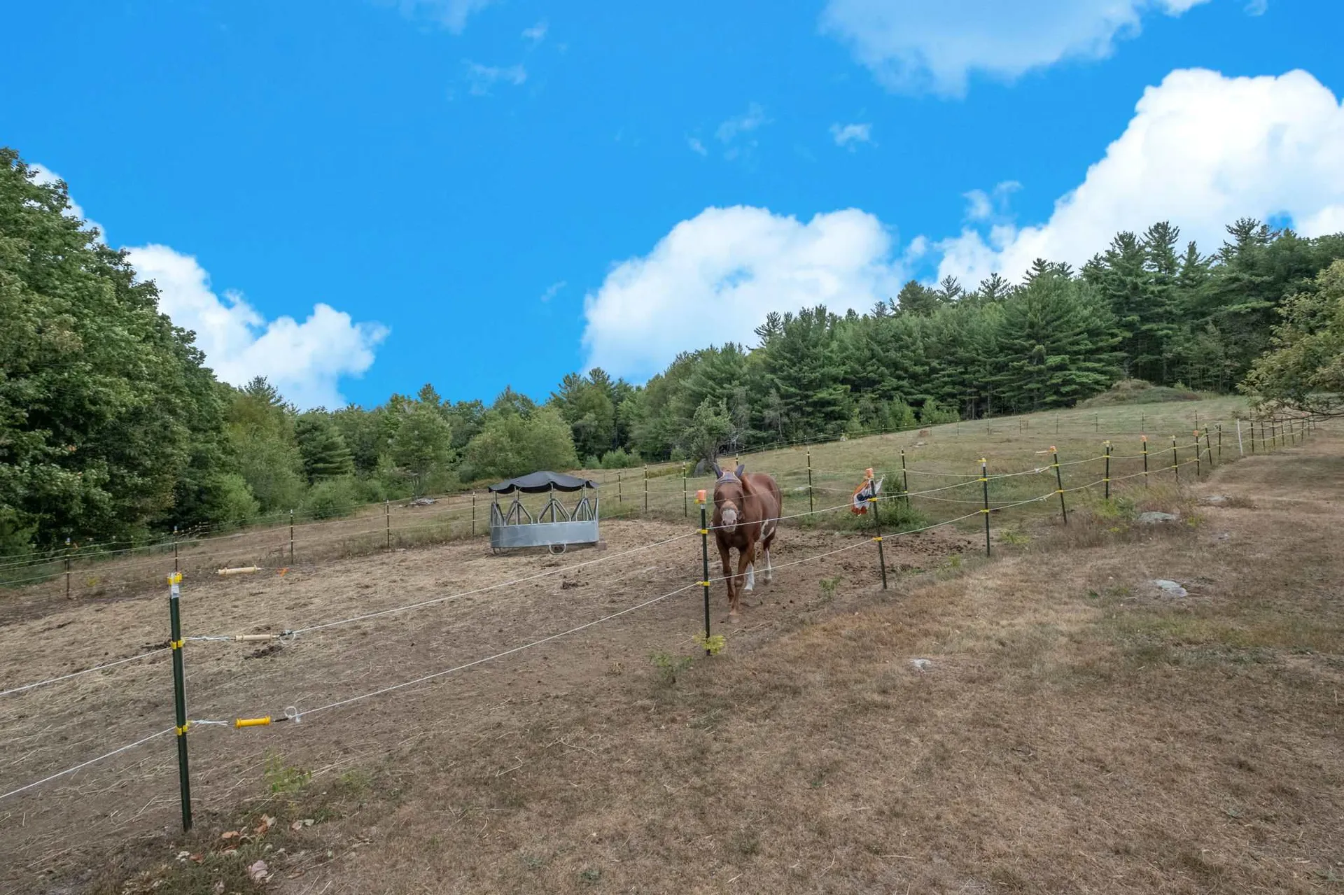 374 Old Wolfeboro Road Alton NH 03809
