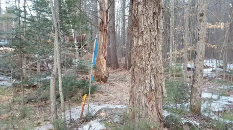 312 North Road Sutton NH 03260