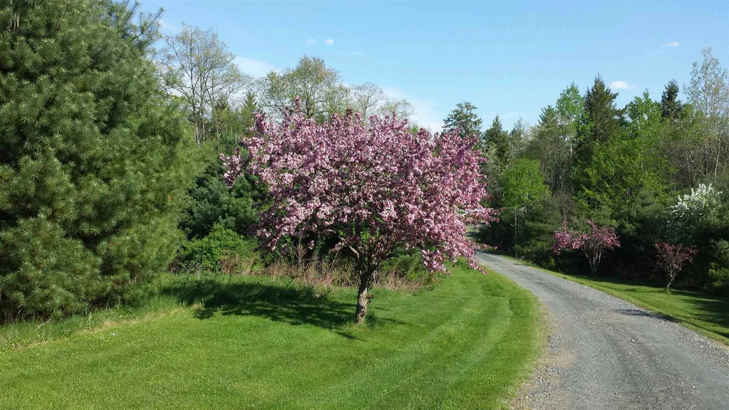 280 Corbin Road Newport NH 03773