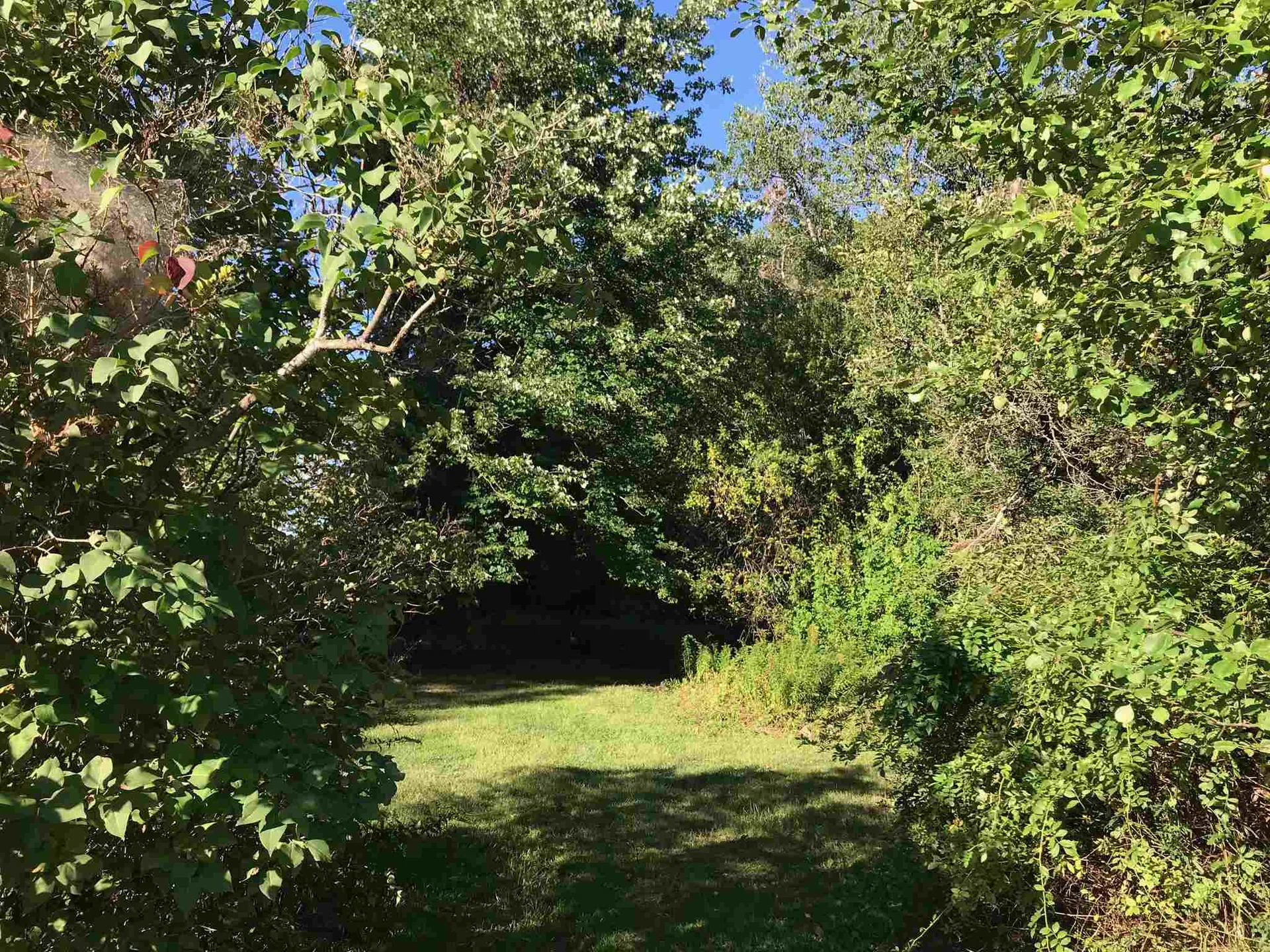 658 Strafford Road Strafford NH 03884