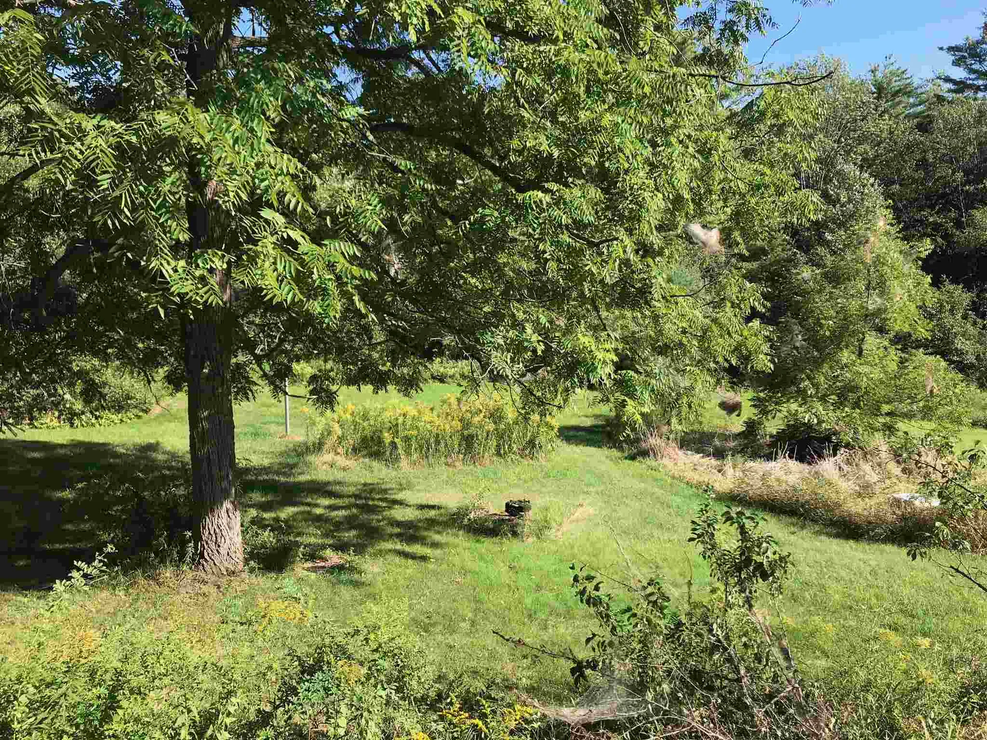 658 Strafford Road Strafford NH 03884