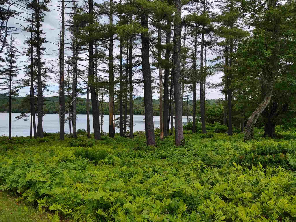 353 Wentworth Road Brookfield NH 03872