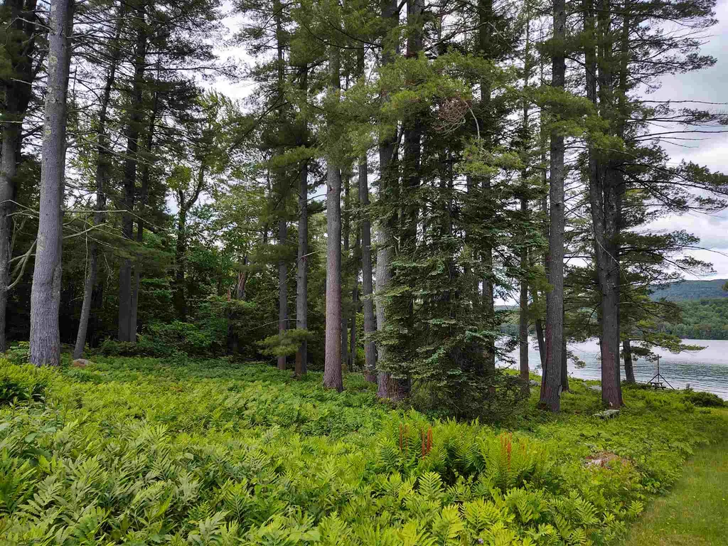 353 Wentworth Road Brookfield NH 03872