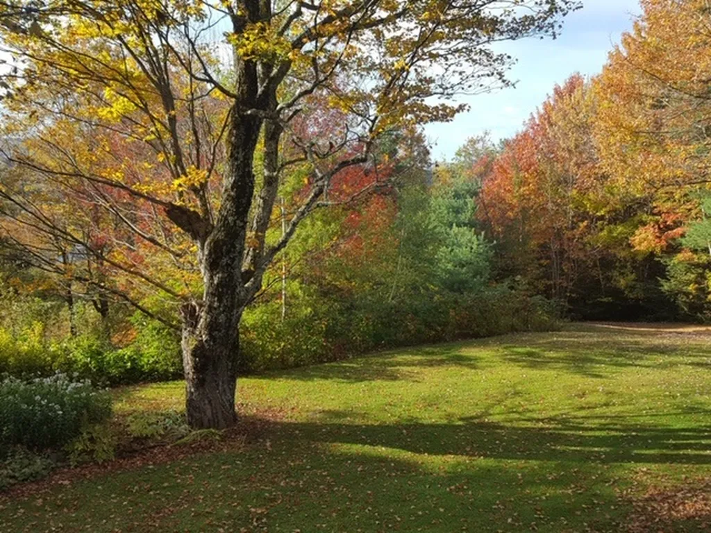 23 Negus Road Dover VT 05356