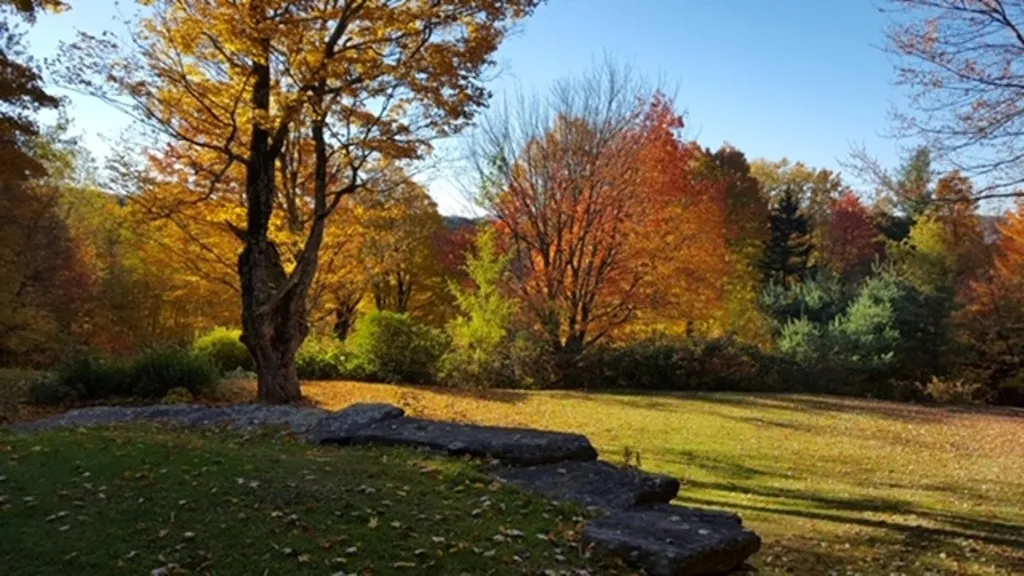 23 Negus Road Dover VT 05356