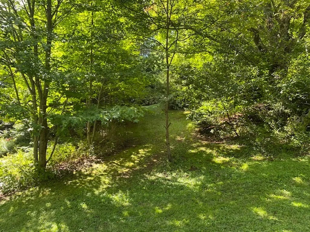 23 Negus Road Dover VT 05356