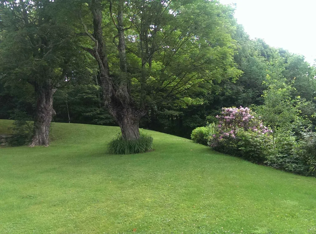 23 Negus Road Dover VT 05356