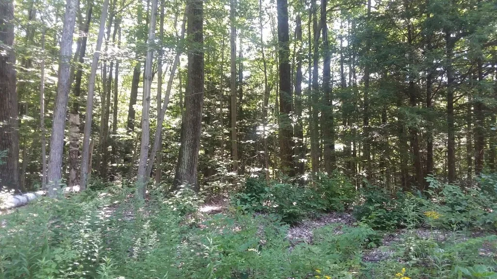 New Ireland Road Manchester VT 05255