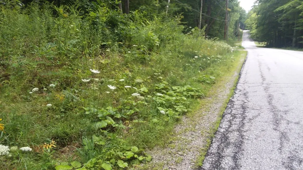 New Ireland Road Manchester VT 05255